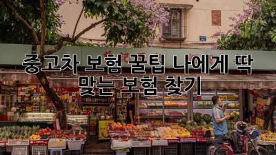 중고차 보험 꿀팁🍯 나에게 딱 맞는 보험 찾기!